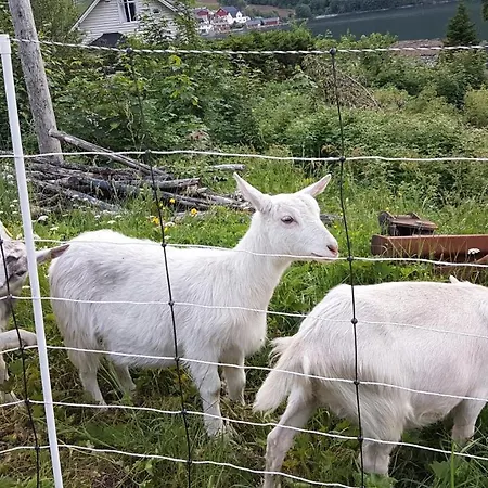 Vista Kalneset Bjørke